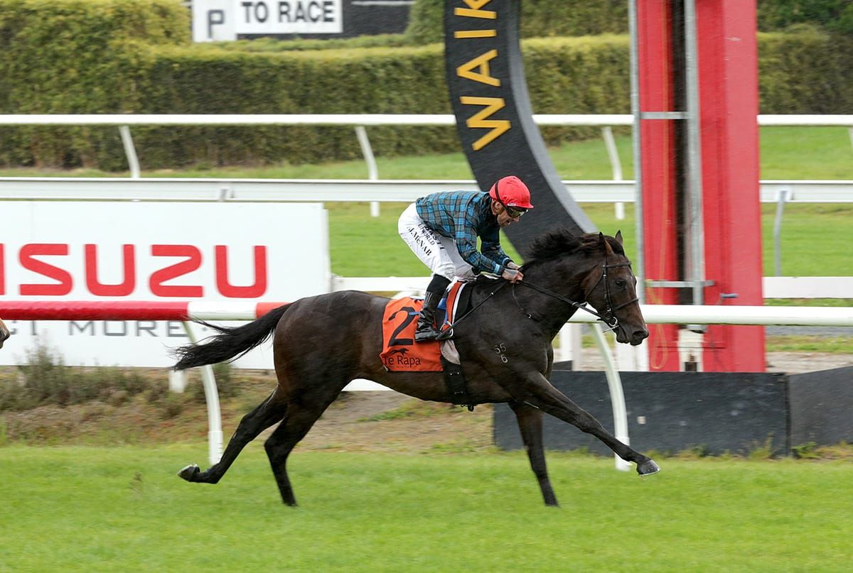 Decision pending on Harlech’s future