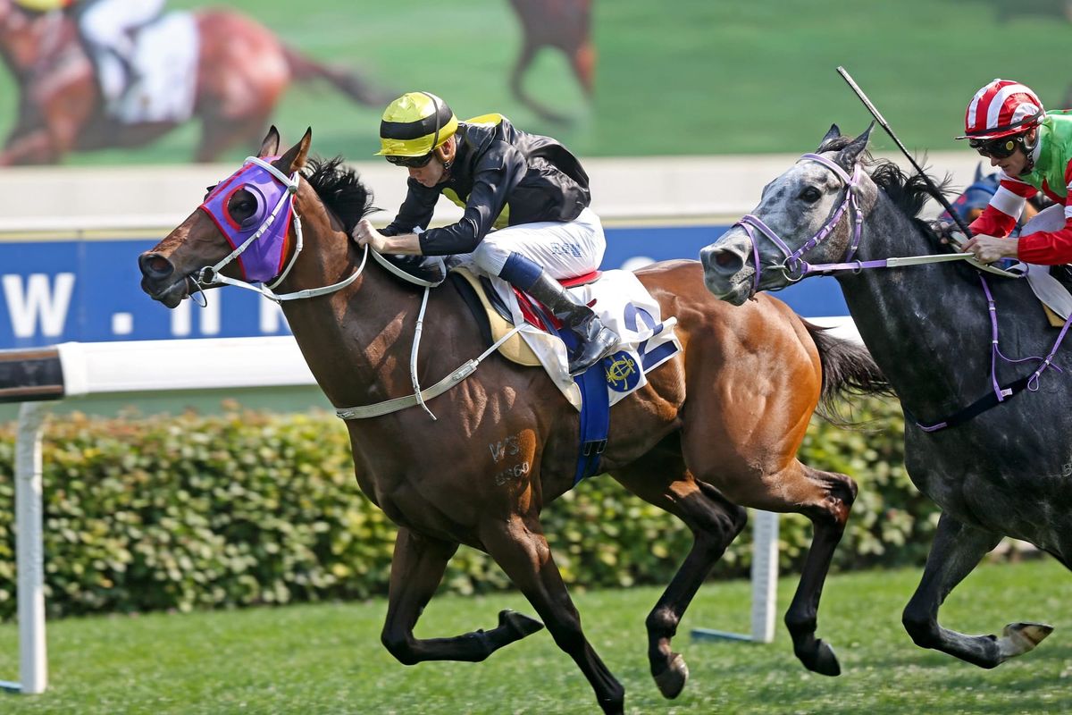 Circuit Three features in Schofield treble