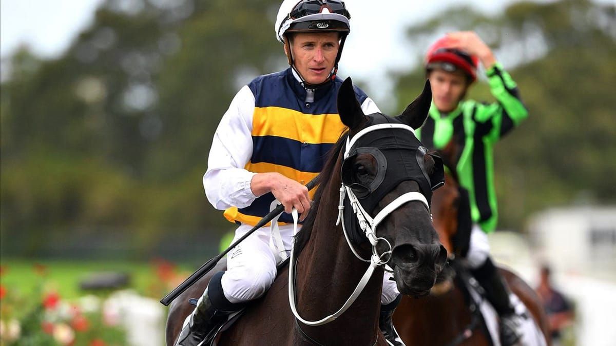 Former Kiwi Night’s Watch back in winner’s circle
