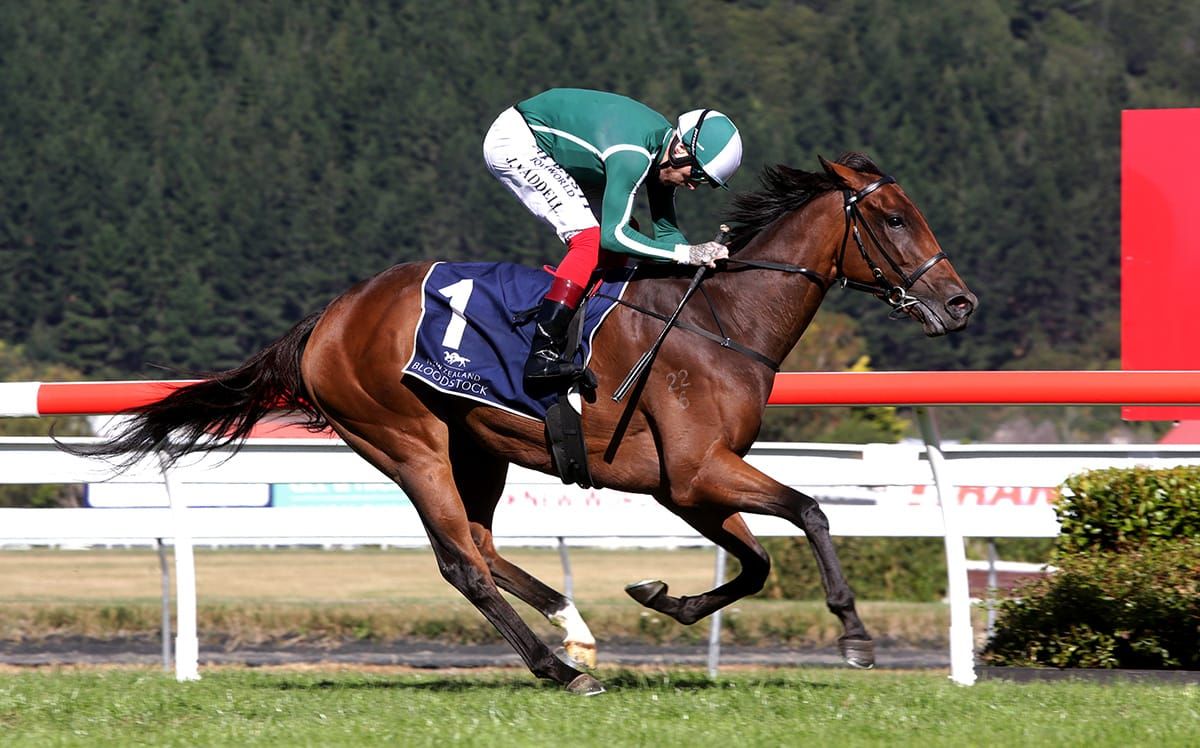 Green light given for Oaks prep