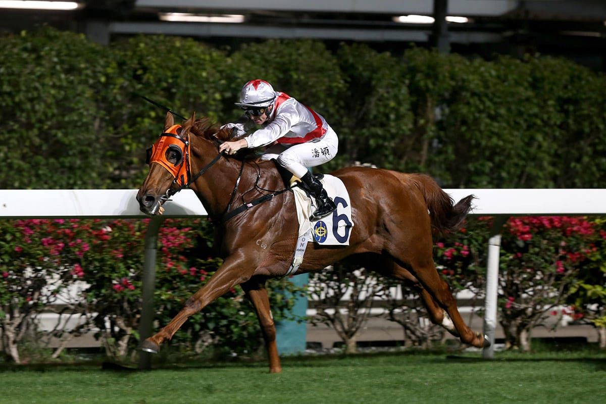 Purton tops the charts with a Happy Valley double