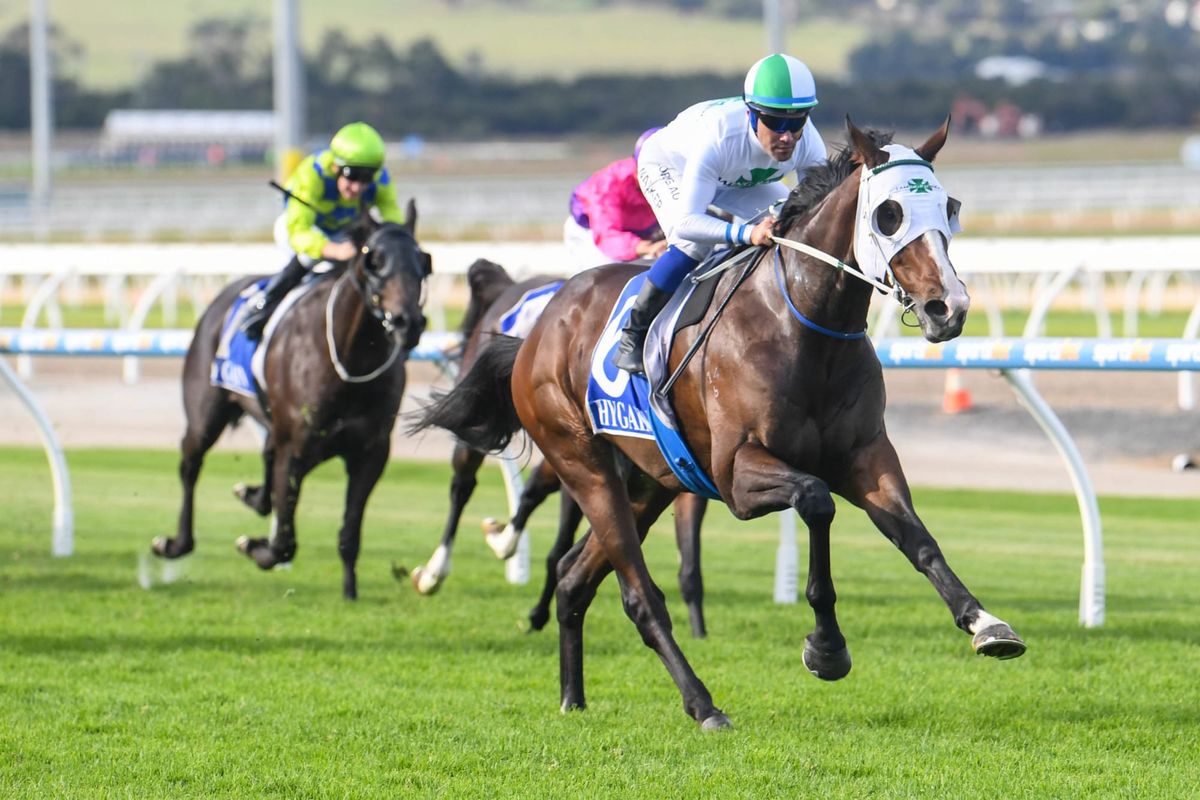 Master Montaro returns