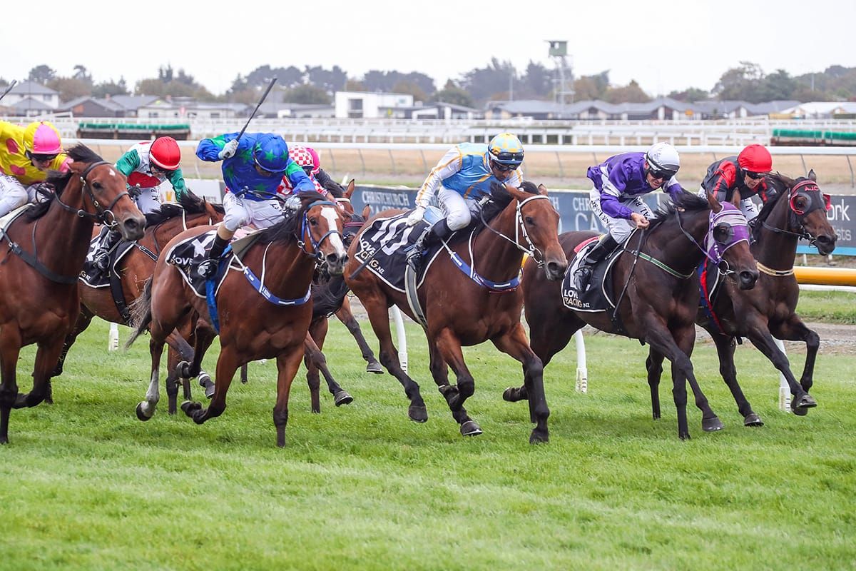Bargain buy provides Dennis with first stakes winner