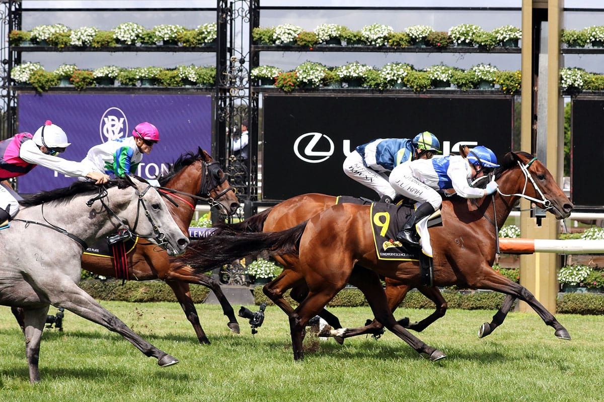 Soft track aids Paint The Town Two victory