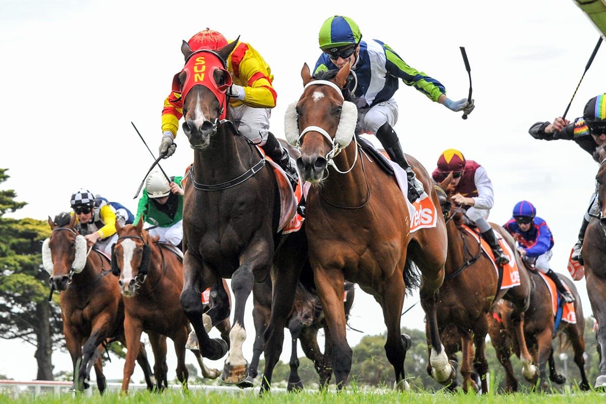 Chuck A Luck takes out Mornington Guineas