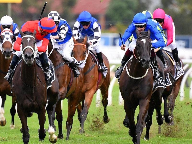 Rosehill suspensions for Bowman and Berry