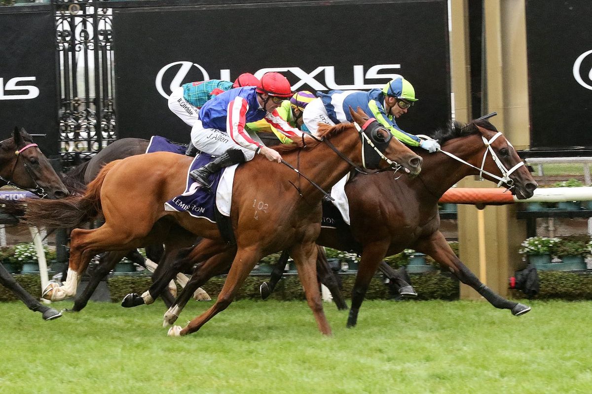 Prelude to determine Mornington Cup bid