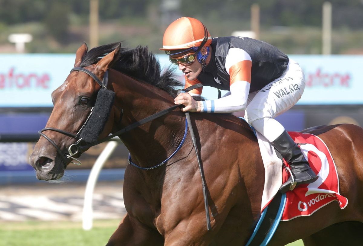 Pike’s Australian hopefuls on show at Hastings