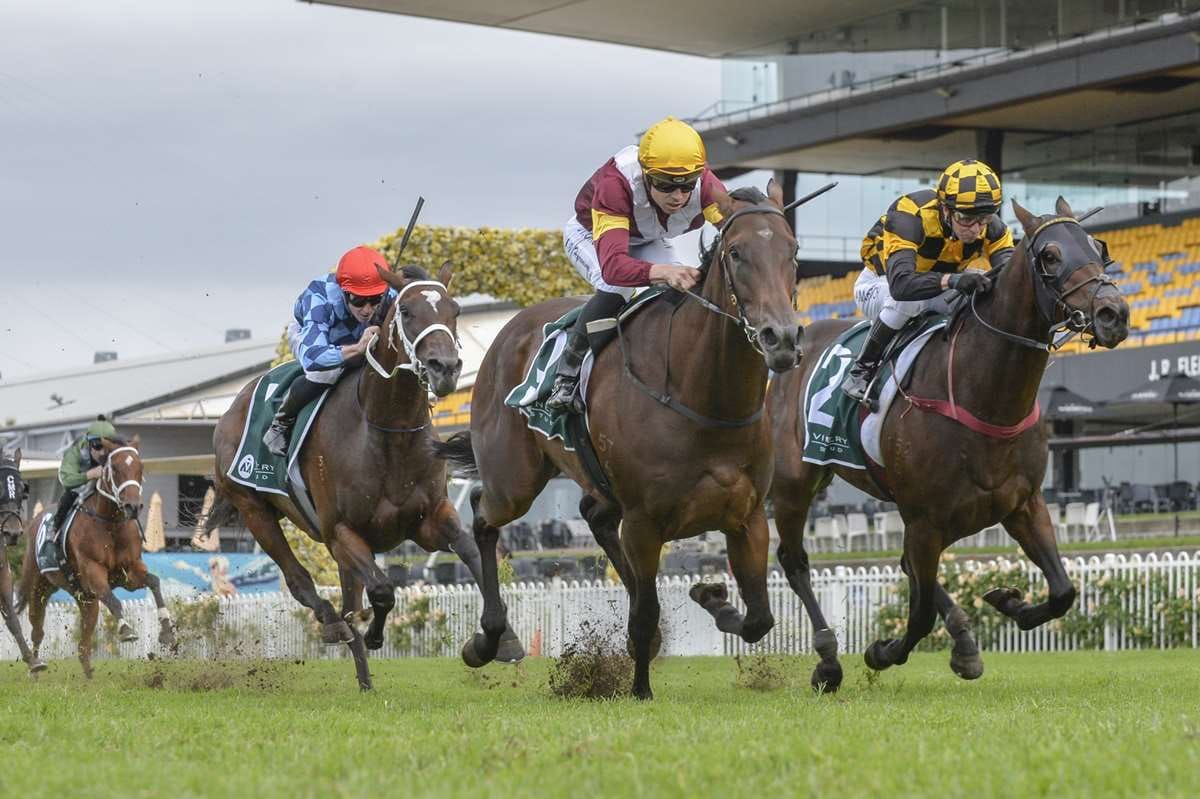 Plans to remain fluid for Probabeel