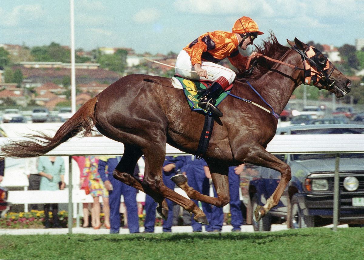 Cox Plate victory the pinnacle for Jillings