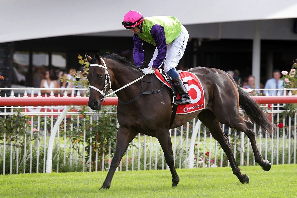 Sydney trip on the line for Tibetan