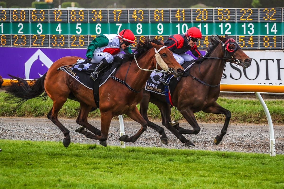 Carston happy with Breeders Stakes duo