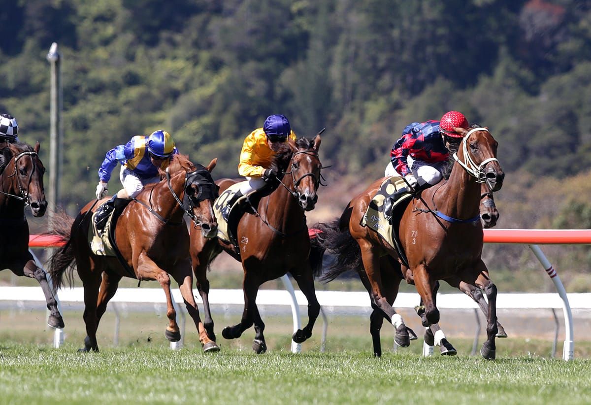 Tinkalicious gets breakthrough victory in Cuddle Stakes