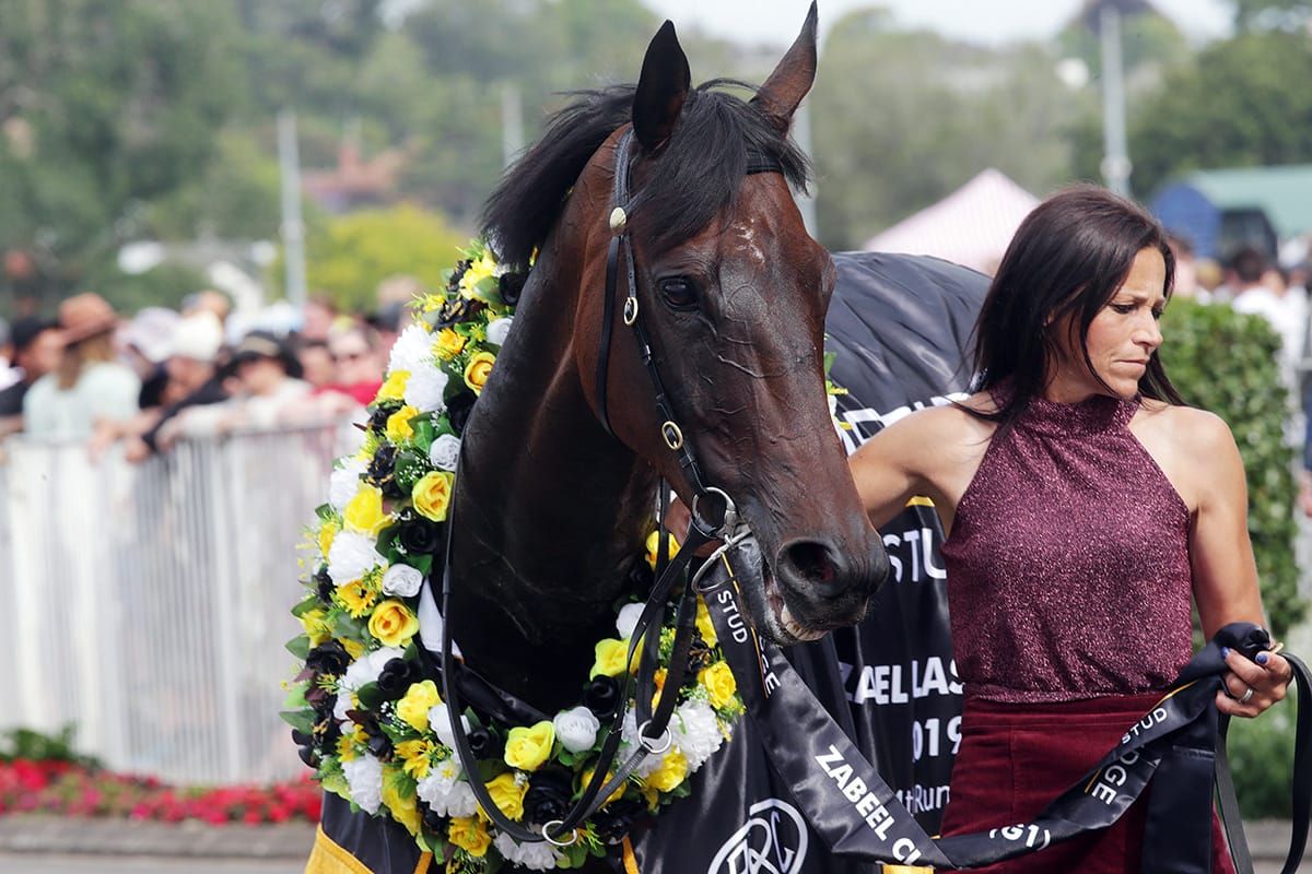 True Enough at peak for Ellerslie