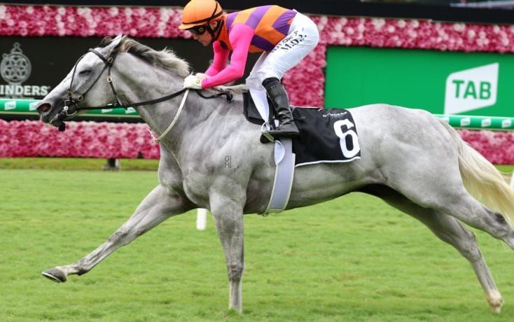 Staying test for Reliable Man mare