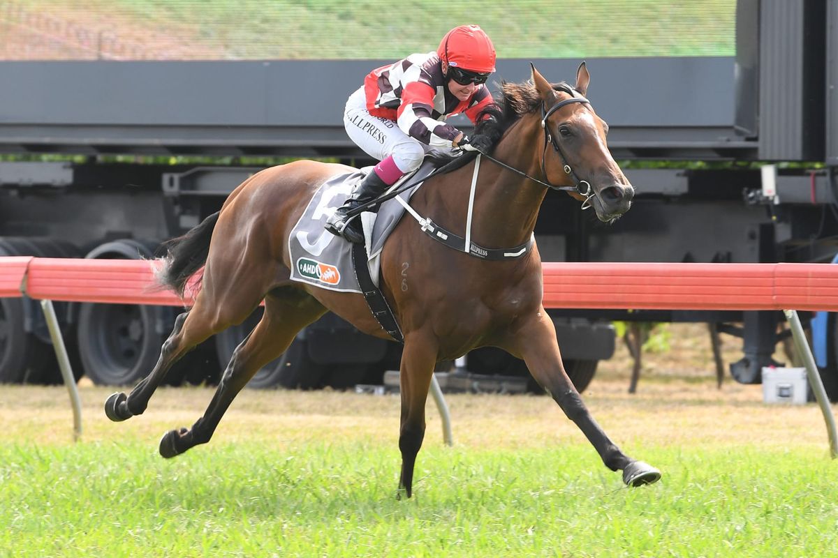 Youthful Hawke’s Bay team prepare for spring