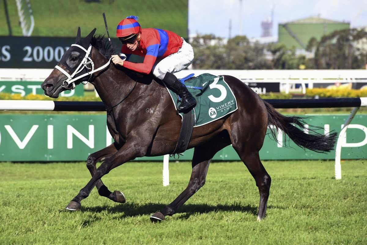 Elleegant poised to end George Main hoodoo