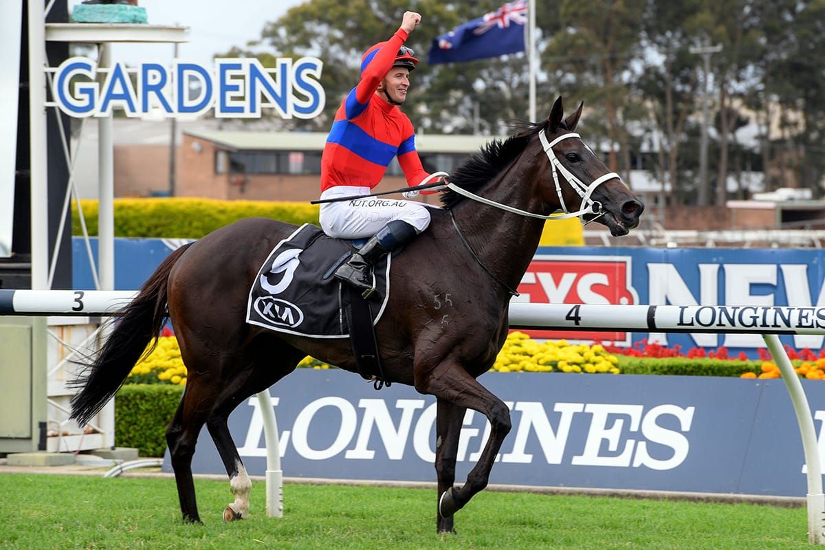 Verry Elleegant lands third Group One