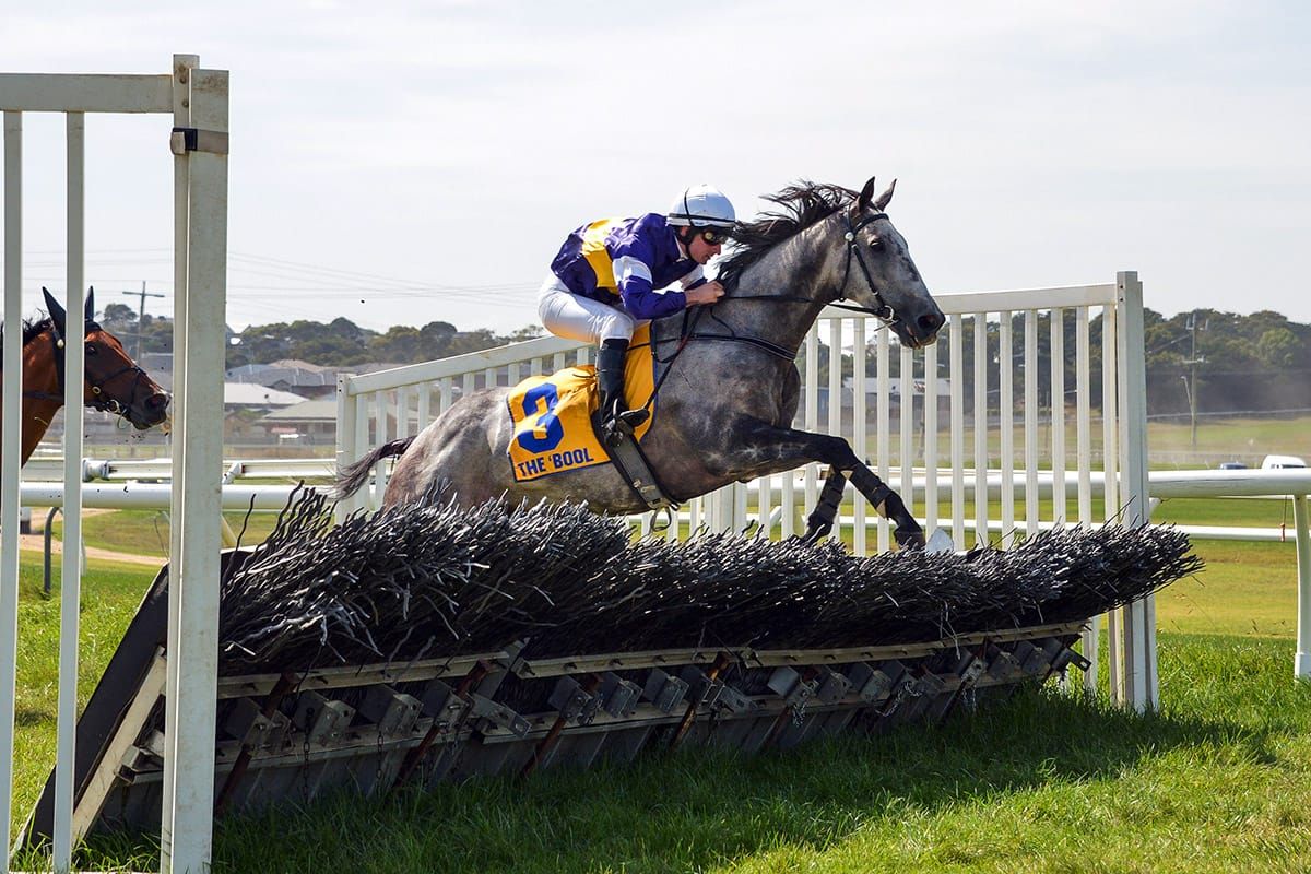 Woodsman wins but Aussie holiday cut short