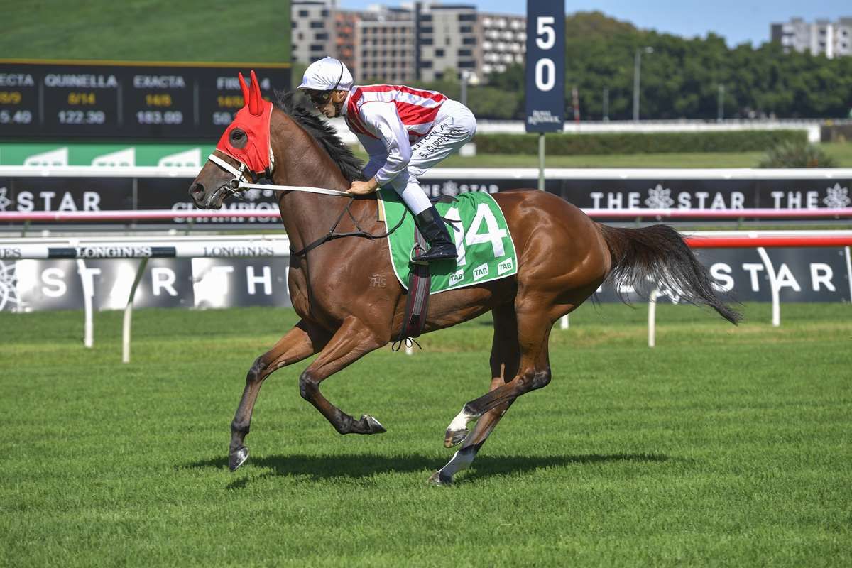 Toffee Tongue adds to family legacy