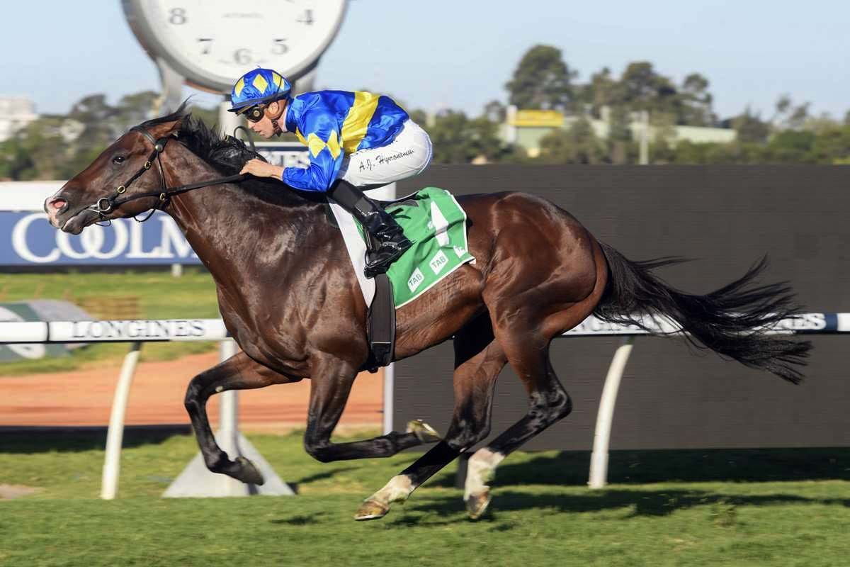 Dawn Passage gets Group Three win on board