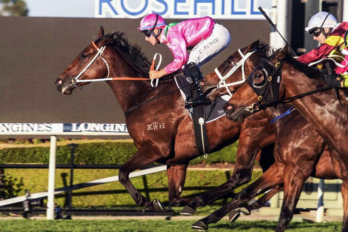 Amangiri's victory a Hawkes family affair
