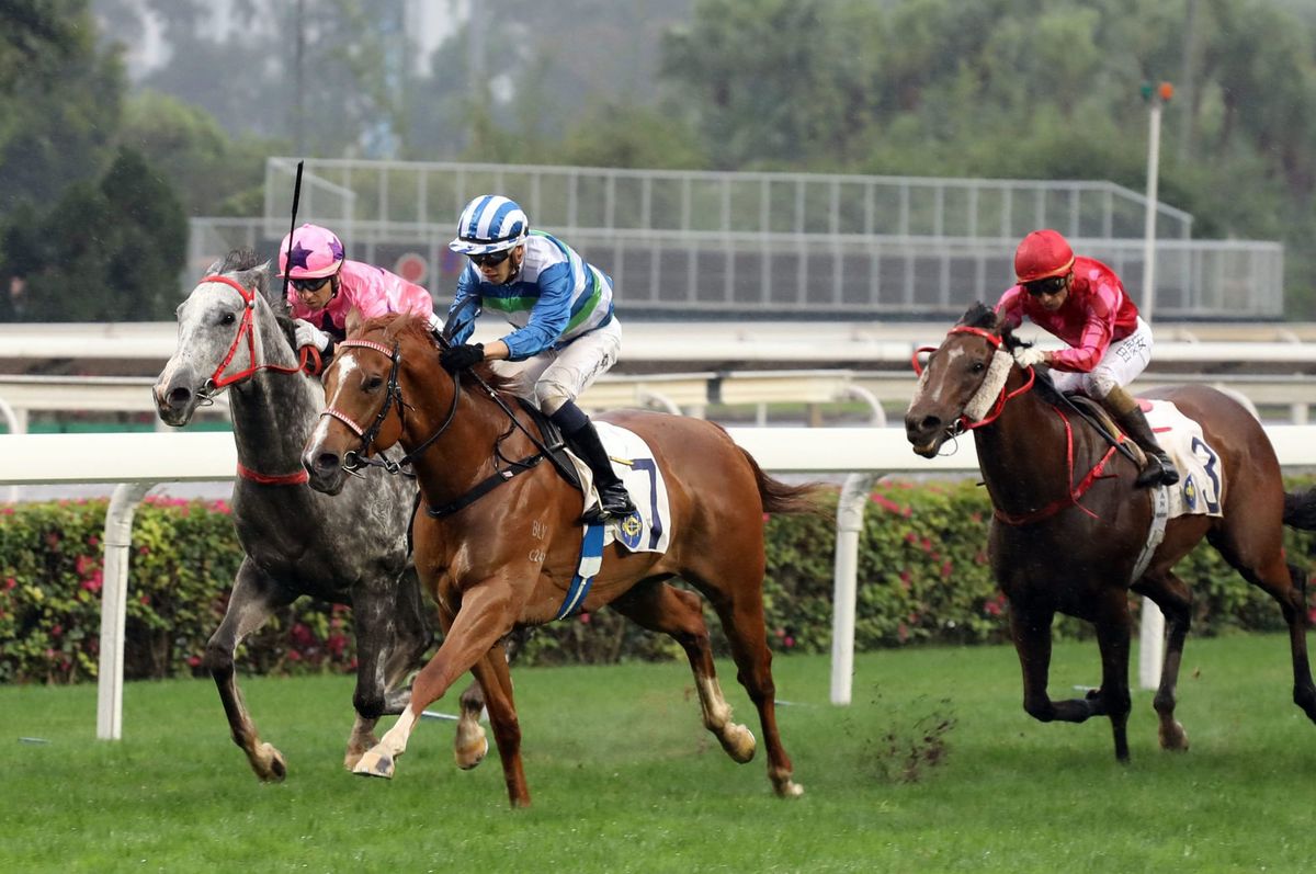 Voyage Warrior looks to fulfill potential