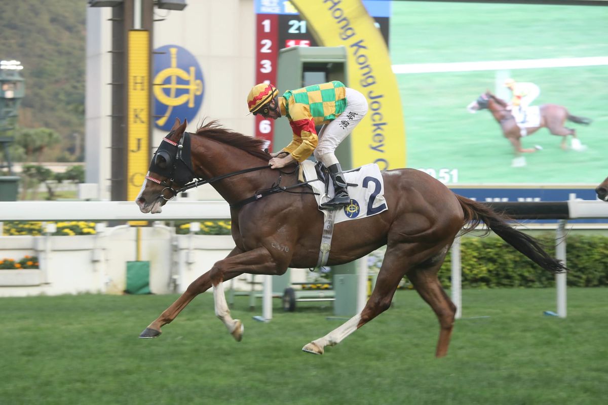 New best for Yiu as Mighty Giant impresses