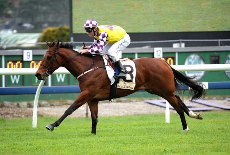 Record gavelhouse.com catalogue online