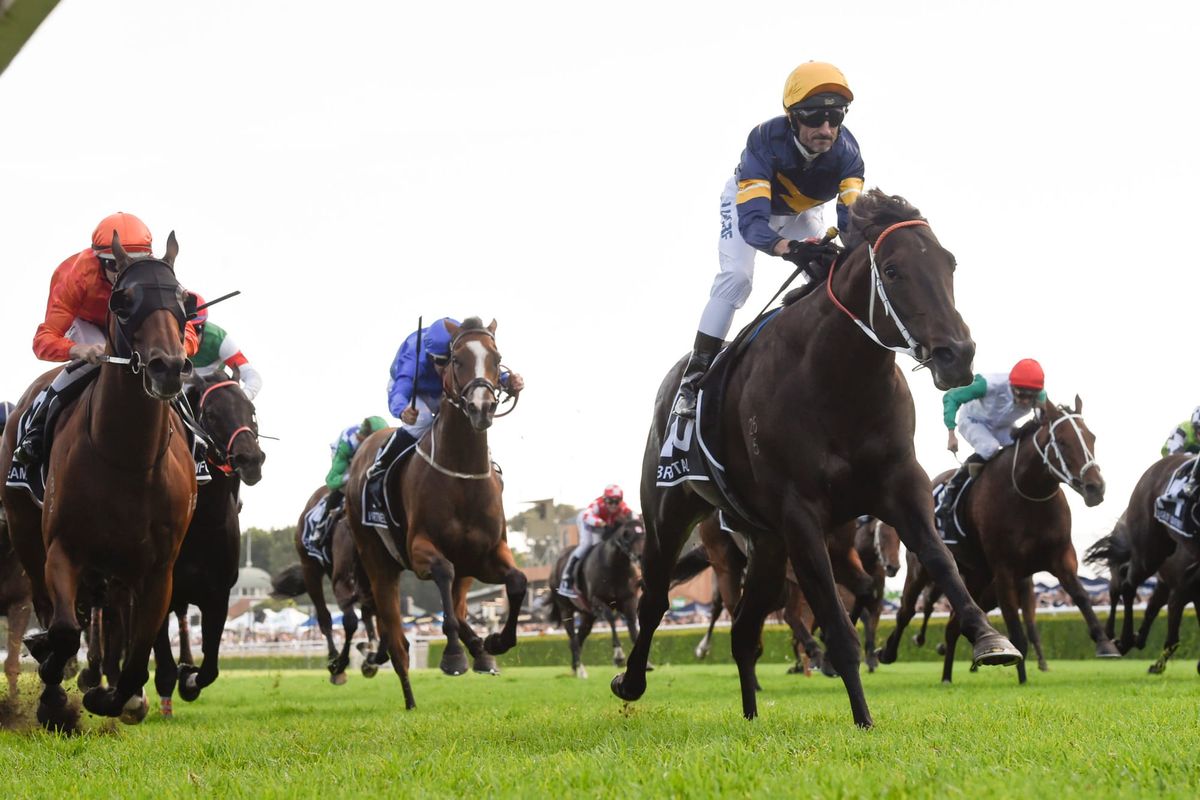 Group One winner retired to stud