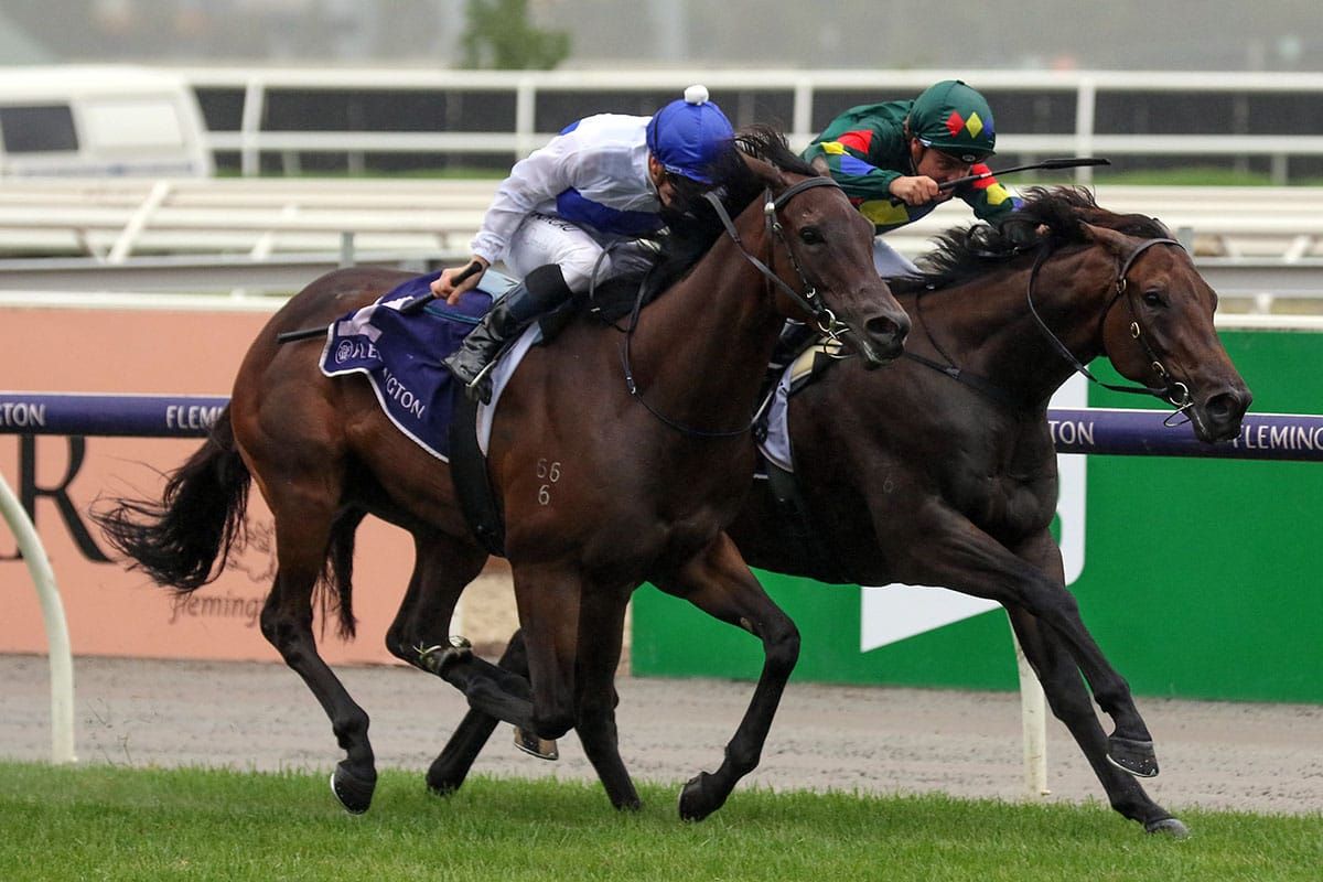 Trainer staying chipper over lockdown