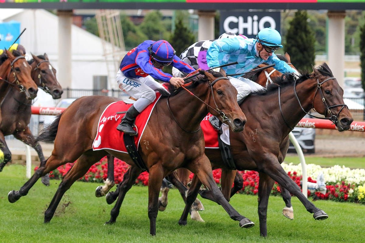 Australasian Oaks earmarked for Fascino