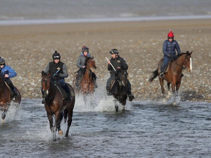 BHA ready to review plans to resume racing