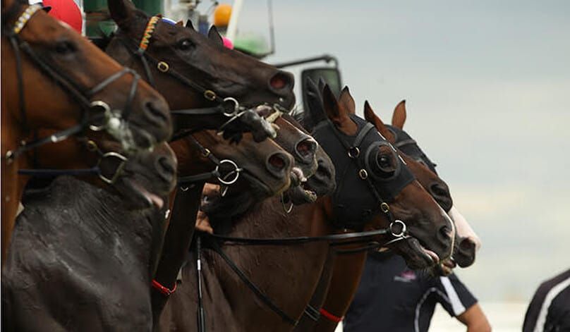 Coronavirus shuts down Tasmanian racing