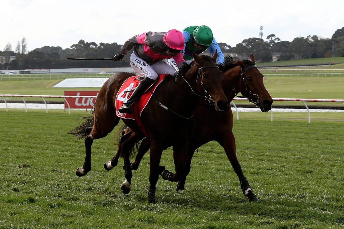 Wilde has headache over Warrnambool target