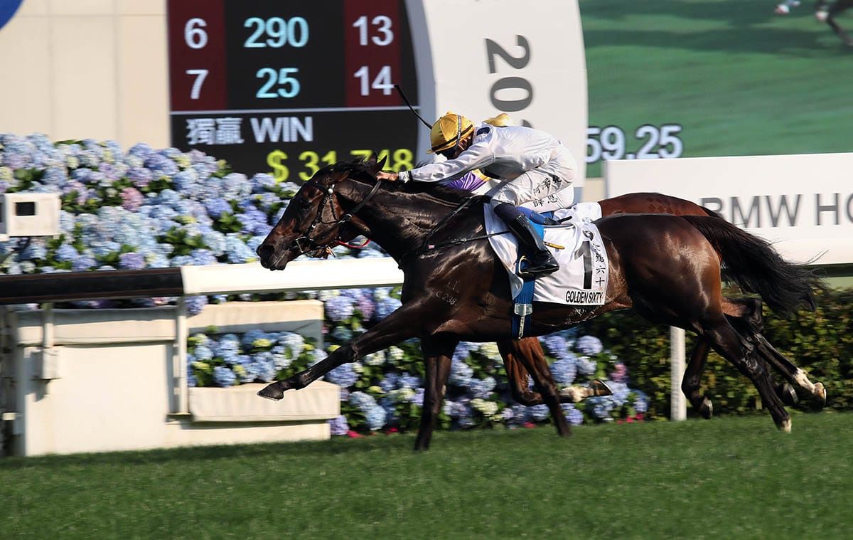 Golden Sixty heading for a spell