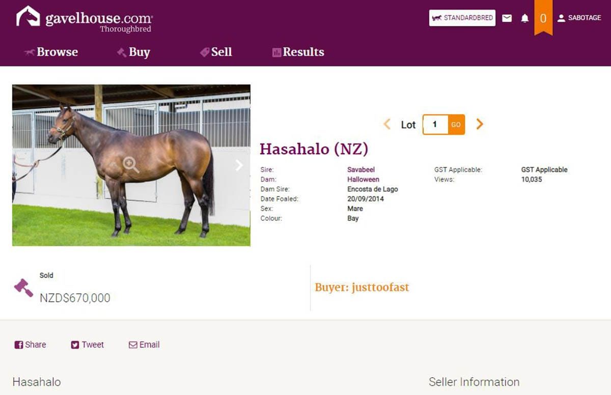 Gavelhouse.com to launch enhanced site