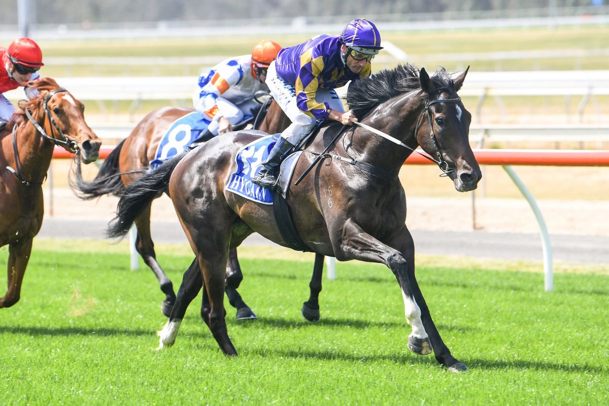 Spring targets for son of Jakkalberry