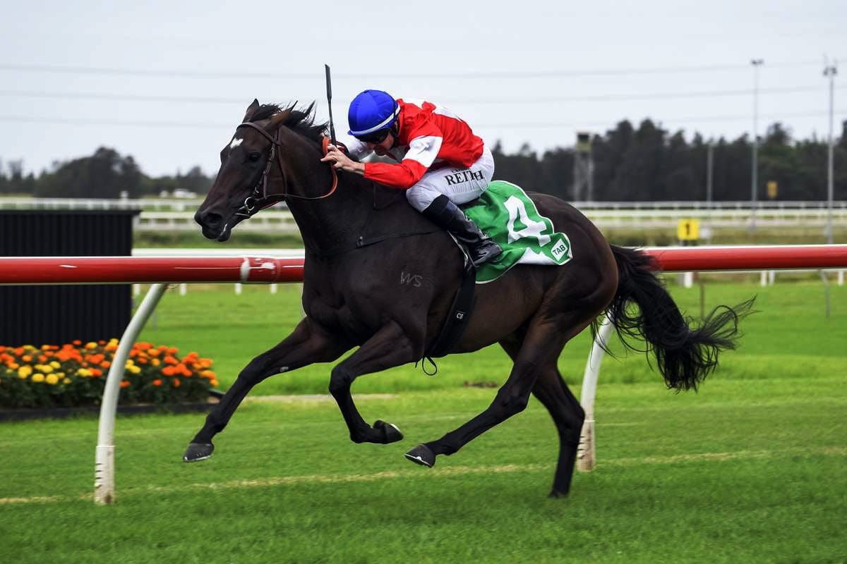 Guineas tilt for Icebath