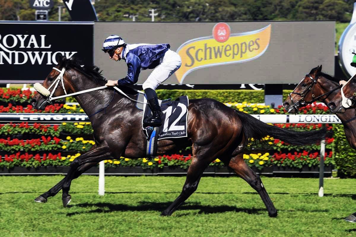 Anderson pair to take on boom 3YO Kinane