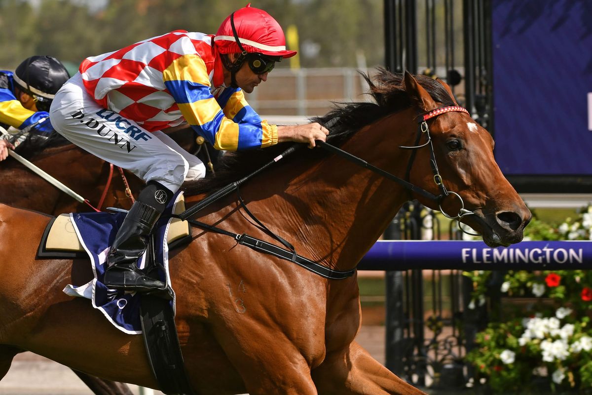 Manolo Blahniq set for Hawkesbury Cup tilt