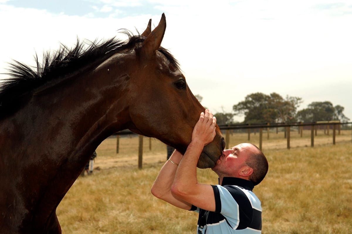Champion galloper Might And Power passes away at age 26