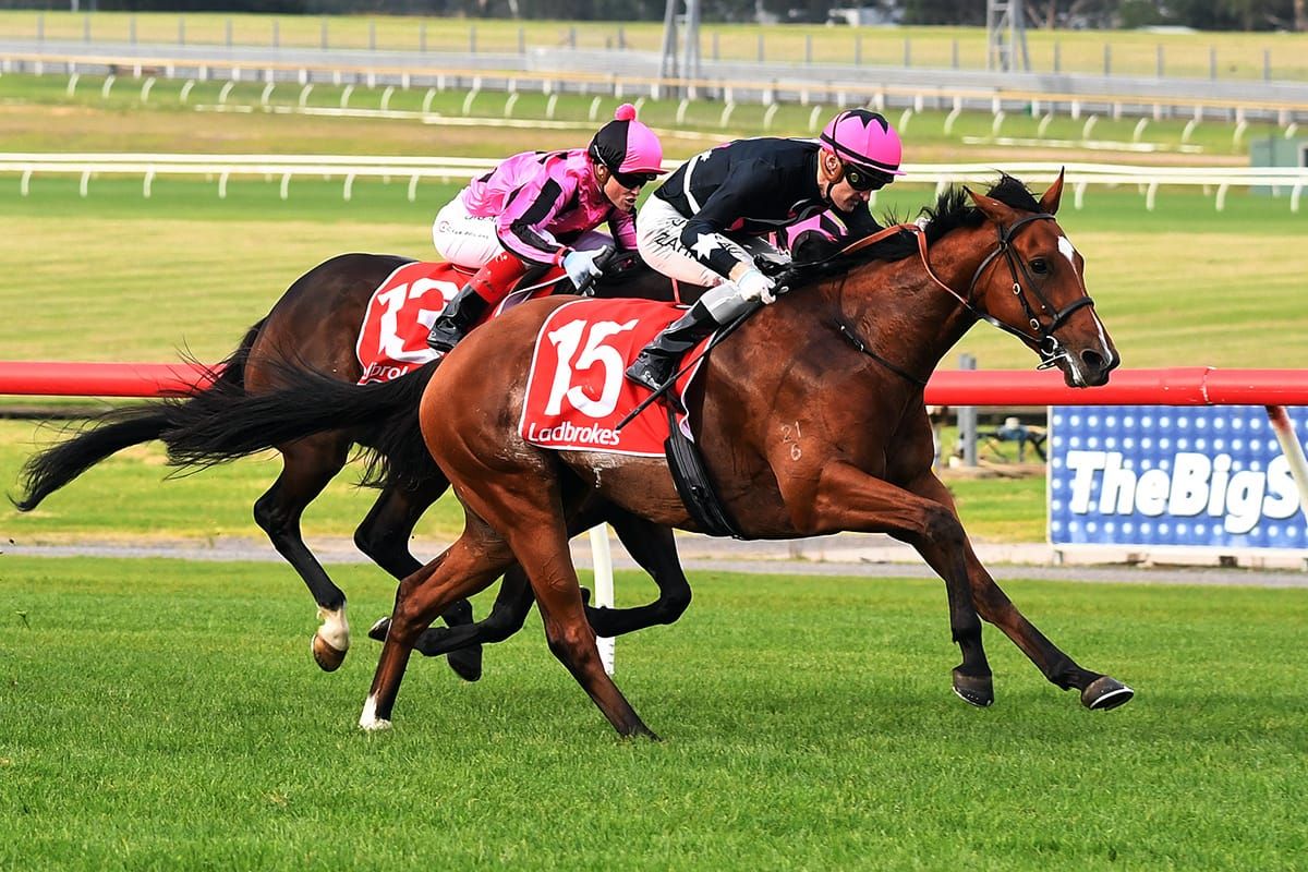 Open Minded continues perfect run