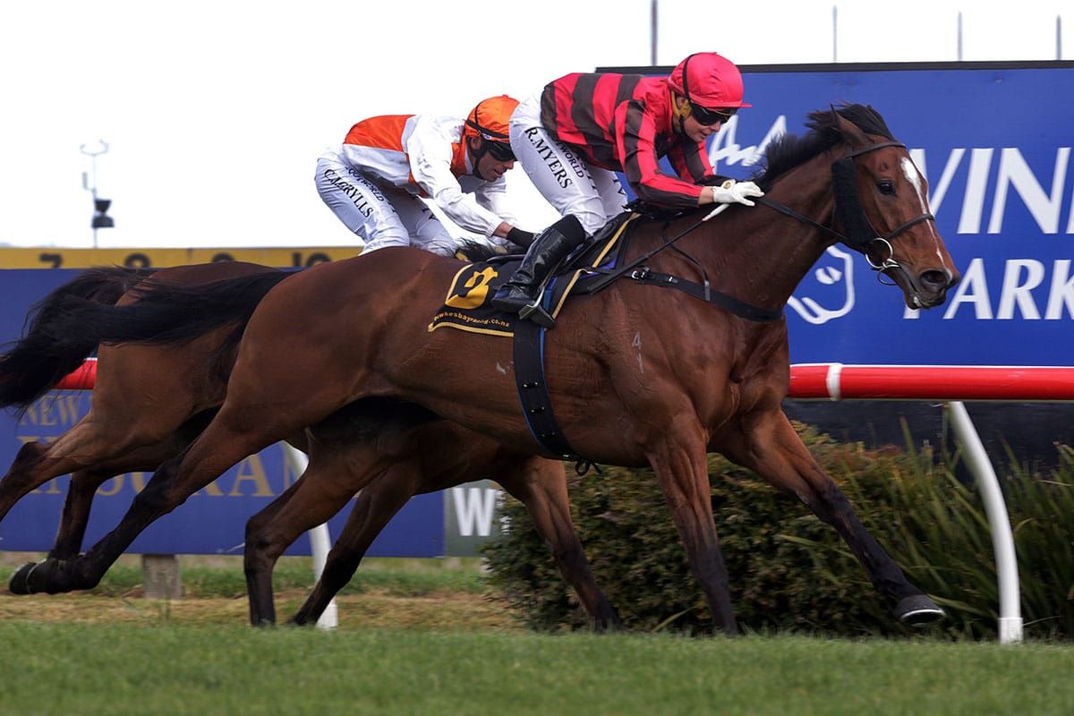 Jumping maestro looking forward to return