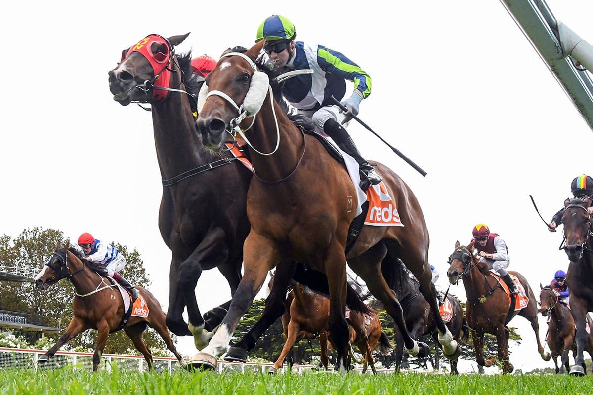 Derby aspirations for former Kiwi
