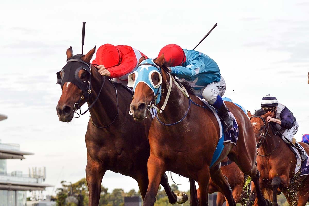Sacramento lands another St Leger for Gai
