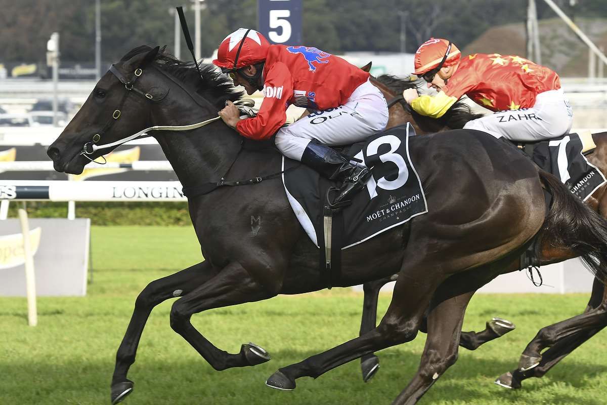 Seabrook chasing stakes race at Caulfield