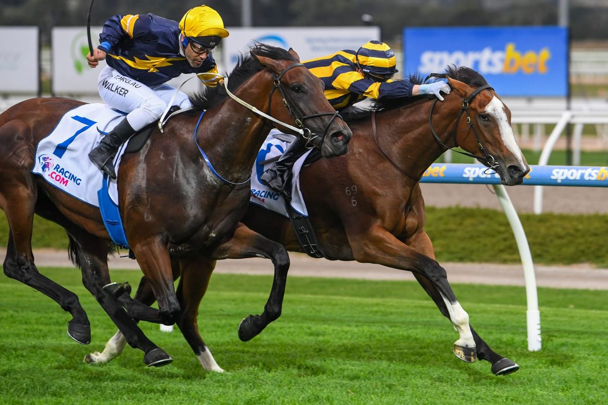 Sky’s the limit for Tavistock filly