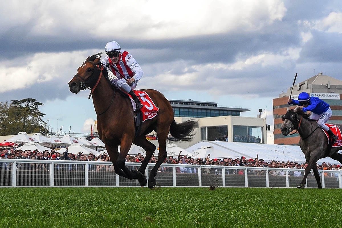 Waikato Stud celebrate further success for resident stallion Ocean Park