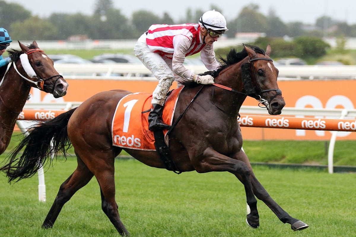 Super Seth on song for Doncaster